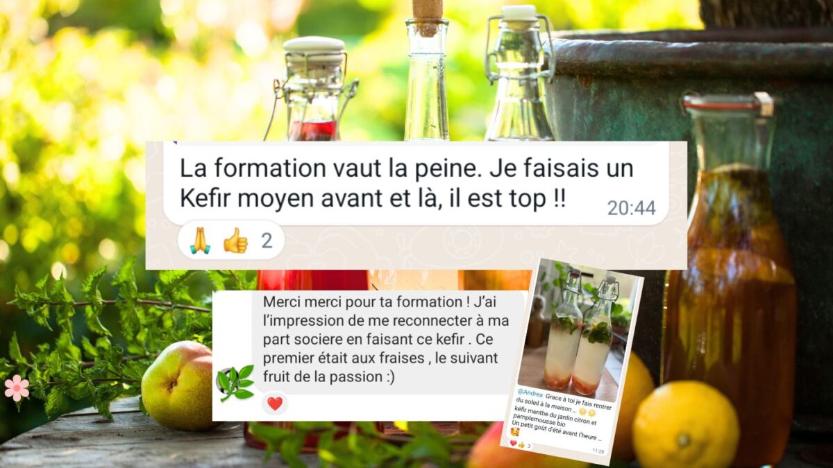 J’apprends à faire mon propre kéfir de fruits ! - recette kéfir facile témoignage