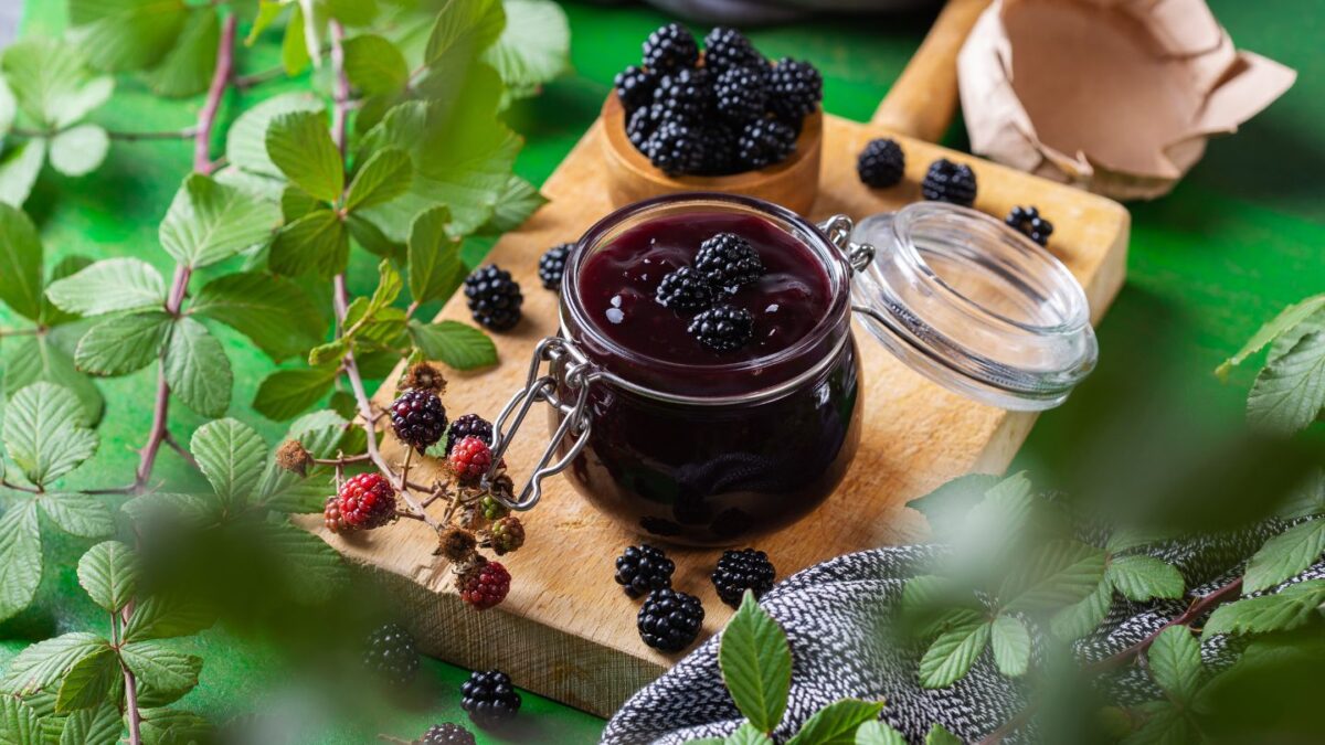 Koso : recette et bienfaits du sirop cru - koso sirop cru mres fruits rouges recette