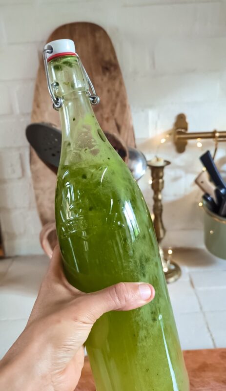 Recette kéfir : la vraie ! - kéfir de fruits au matcha fait maison faire recette fermentation