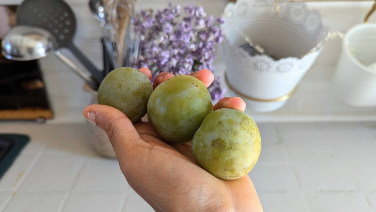 Recette Koso de fin d’été : à la prune et au gingembre ! - prunes reines claude bio pour koso sirop cru recette