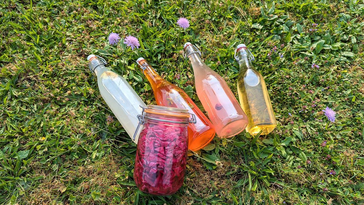 petillium, formation, fermentation