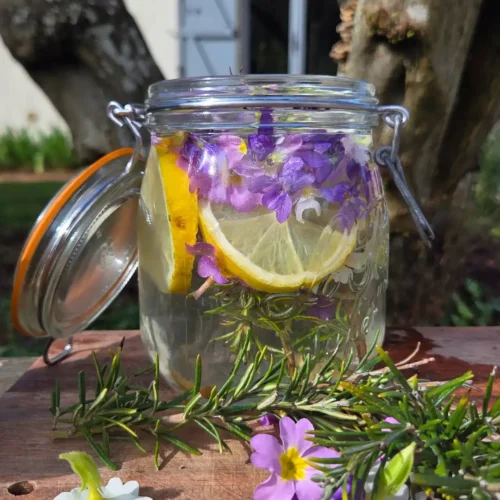 Limonade sauvage du printemps : violettes, primevères, romarin